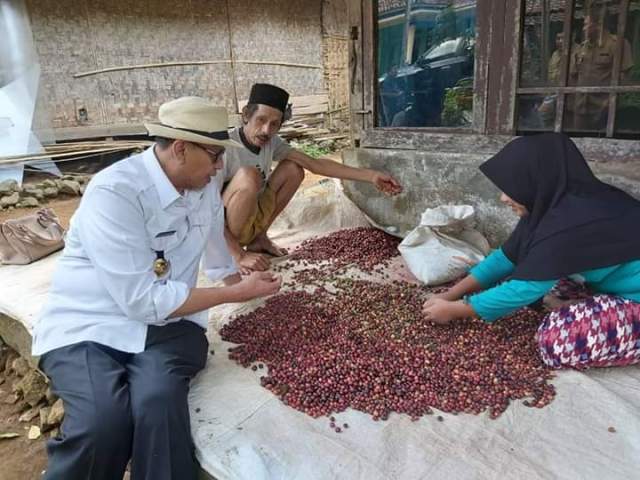 WH Sebut Banten Miliki Potensi Penghasil Kopi Terbaik