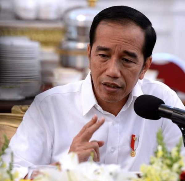 Presiden Jokowi Berkunjung ke Cilegon, Ini Agenda Pentingnya