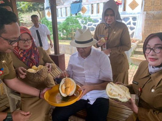 Kunjungi Kebun Durian di Pabuaran, Gubernur: Kualitas Durian Banten Berkelas Internasional