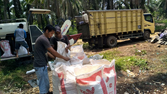 Banten Masuki Musim Panen Padi dan Jagung