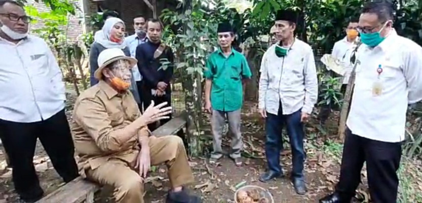 Gubernur Banten Dukung Budidaya Porang