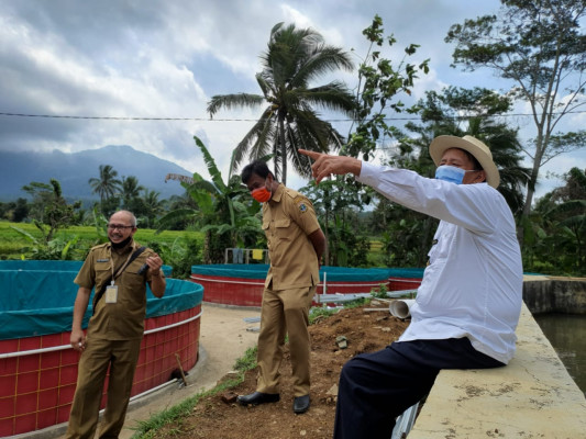 Gubernur Banten Dorong Budidaya Ikan Mas Lokal, Si Nyonya