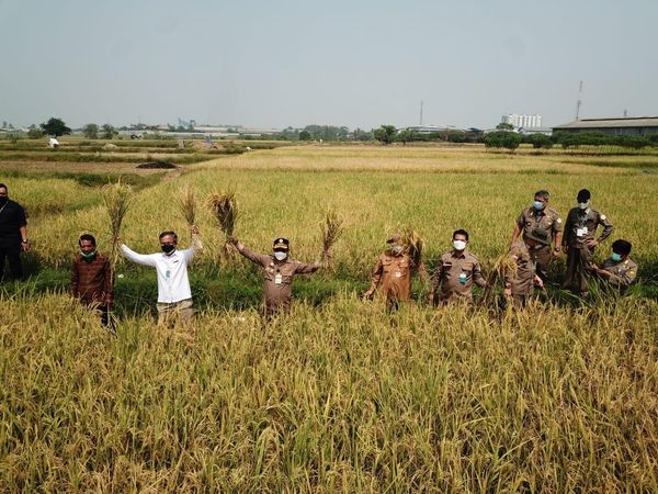 Pemprov Banten Bantu Peningkatan Produksi Pertanian dari Pembenihan Hingga Pasca Panen