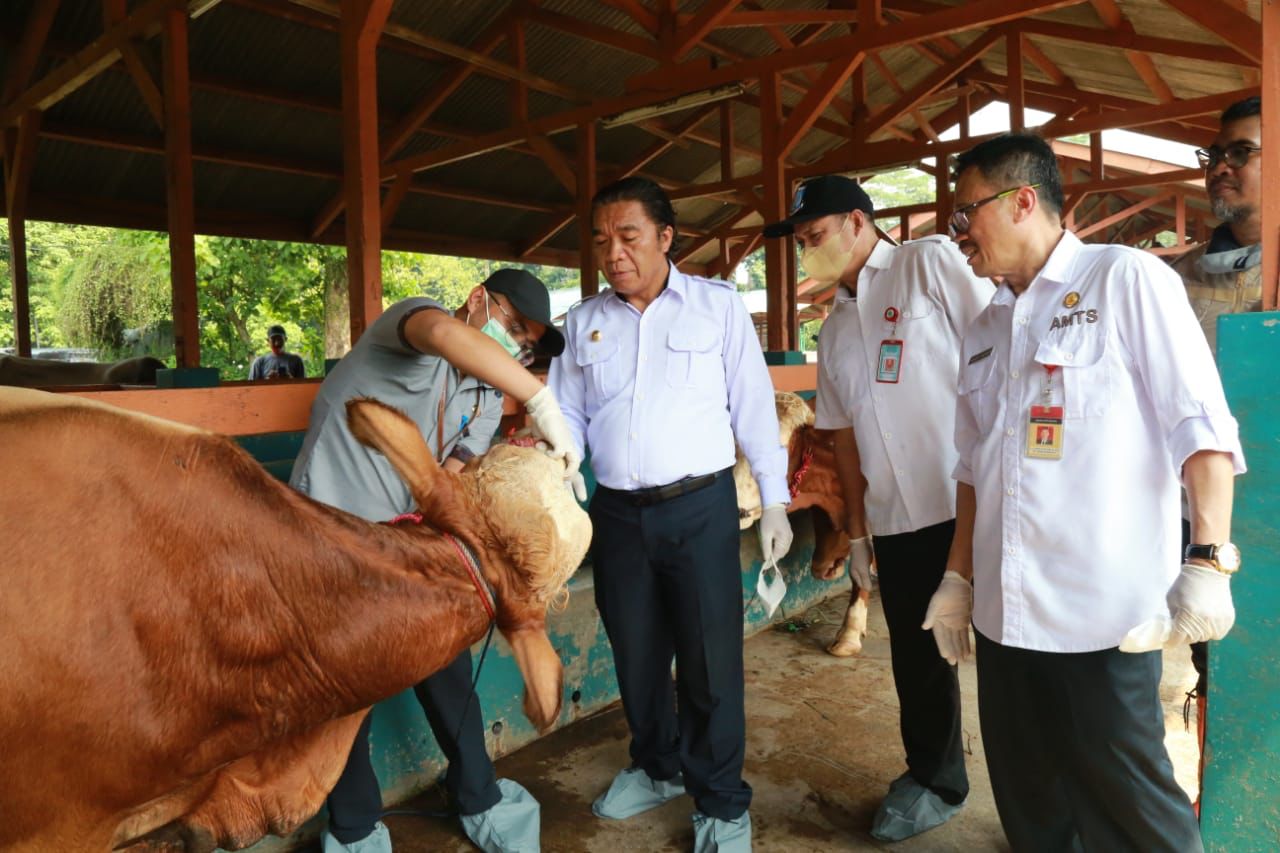 Tinjau Lapak Hewan Kurban, Pj Gubernur Banten: Hewan Kurban yang Dijual Dipastikan Sehat