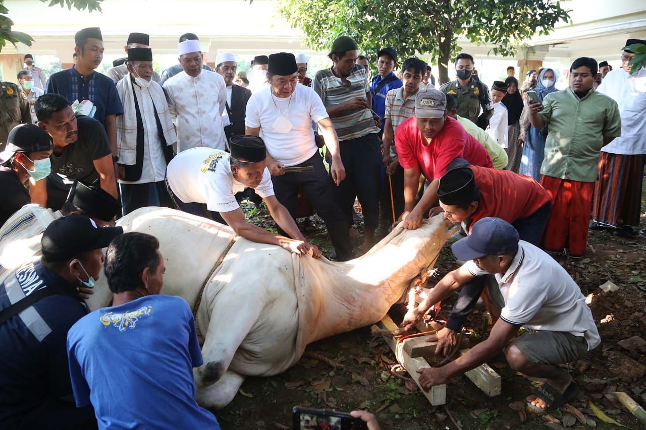 Bersertifikat Juleha, Pj Gubernur Al Muktabar  Potong 10 Hewan Kurban, Salah Satunya Sapi Bantuan Presiden