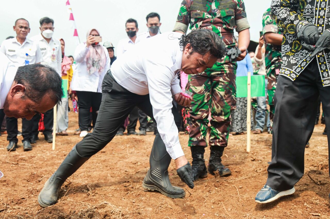 Pj Gubernur Banten Al Muktabar Mendampingi Wamentan dan Pangdam III Siliwangi Tanam Jagung Serentak