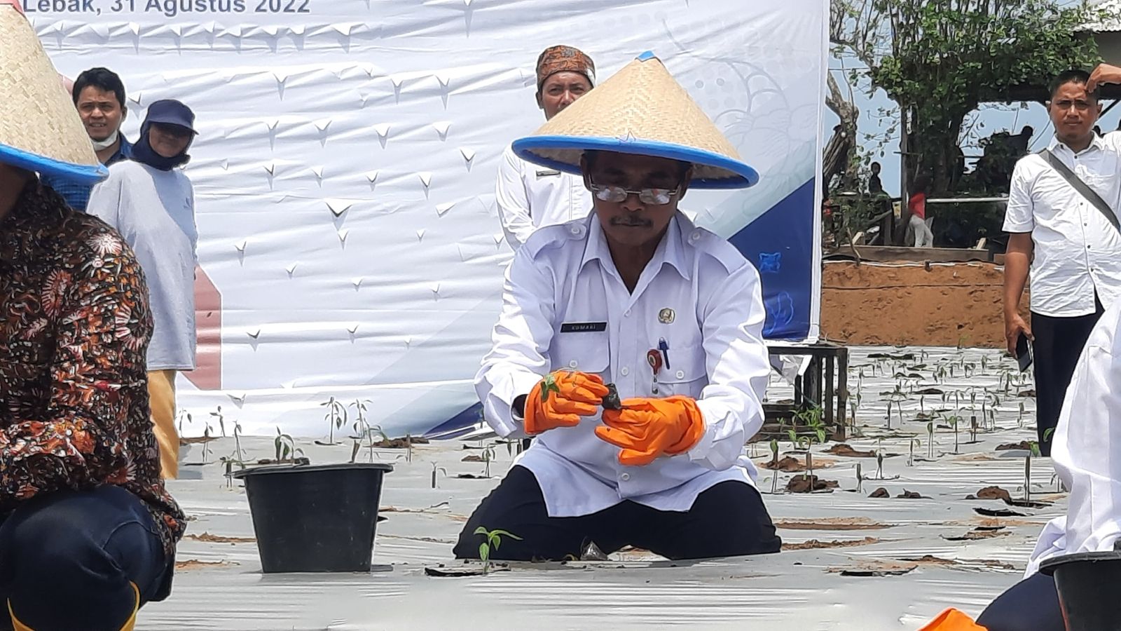 Antisipasi Gejolak Harga Cabe, TPID Provinsi Banten Lakukan Gerakan Tanam Cabe