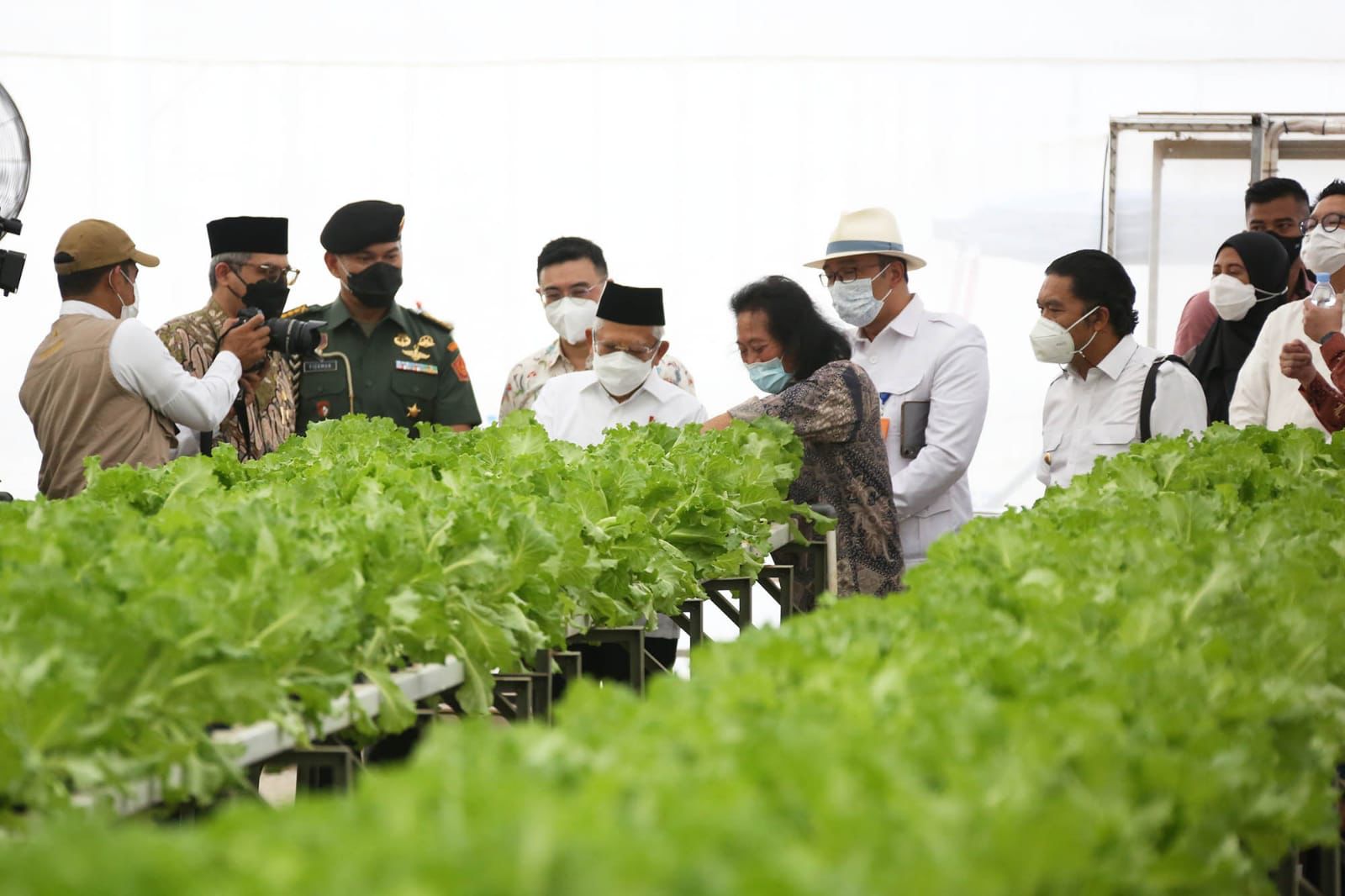 Pj Gubernur Banten Al Muktabar Dampingi Wapres KH Ma'ruf Amin Meninjau PT Singapura Fresh Green Makmur