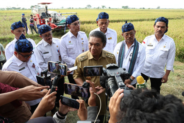 Masuki Panen Raya, Pj Gubernur Al Muktabar Utamakan Kebutuhan Pangan Provinsi Banten