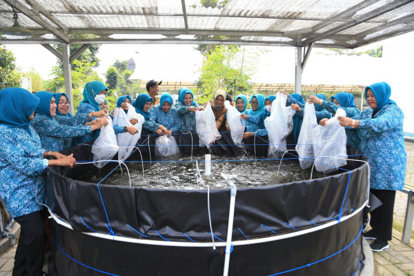 Tekan Stunting, TP PKK Provinsi Banten Sosialisasikan Gerakan Masyarakat Gemar Makan Ikan