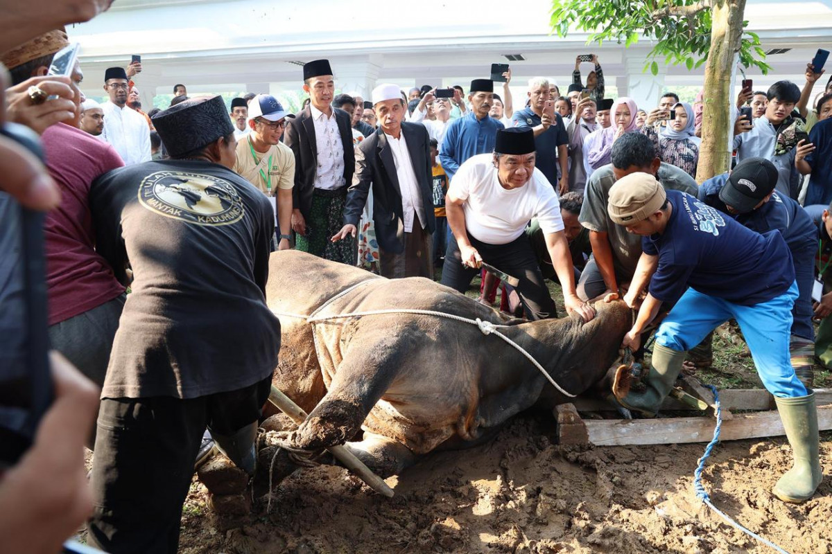 Pj Gubernur Banten Al Muktabar Laksanakan Salat Iduladha 1445 H dan Potong Hewan Kurban di Masjid Raya Al Bantani