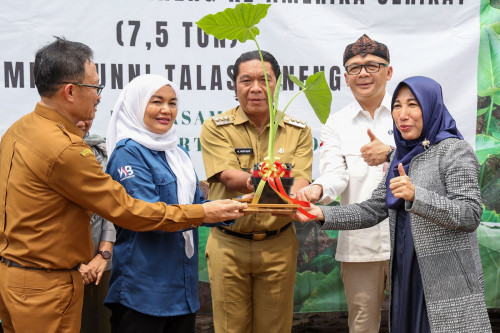 Pj Gubernur Banten Berangkatkan Ekspor Daun Talas Beneng ke Amerika Serikat