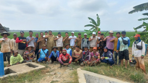 Bahagianya Petani Cikeusik, Padinya Terselamatkan Berkat Pompanisasi