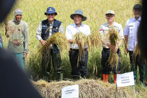 Pemprov Banten Percepat Tanam Padi