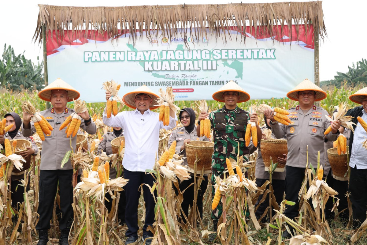 Banten Panen Raya Jagung, Wagub Ahmad Dimyati: Momentum Peningkatan Kesejahteraan Petani