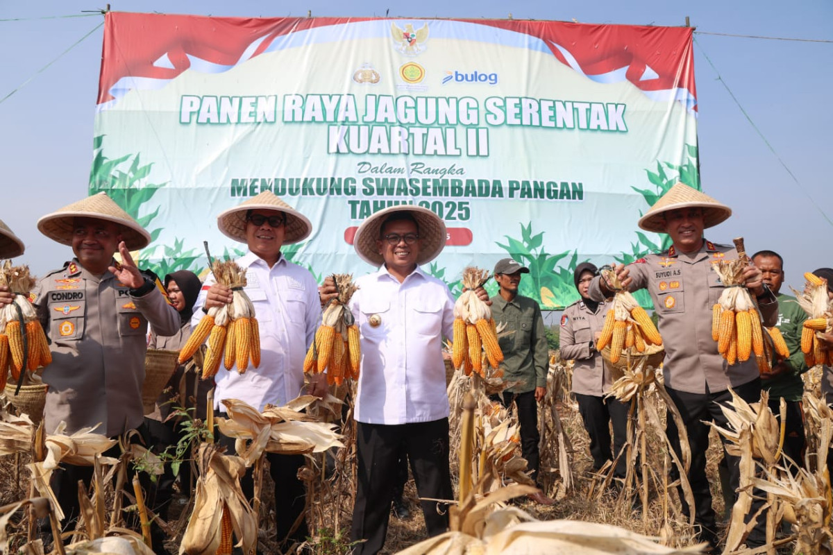 Perkuat Ketahanan Pangan, Gubernur Banten Andra Soni: Pemprov Banten Tingkatkan Produksi Tanaman Jagung