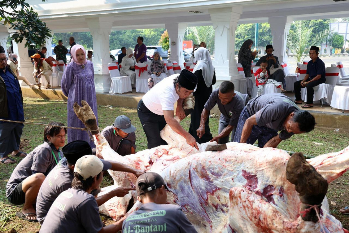 Pj Gubernur Banten Al Muktabar Sembelih Sapi Kurban Bantuan Presiden Jokowi