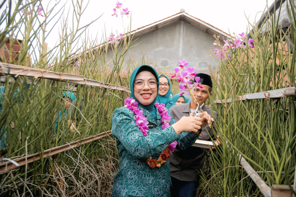 Tinawati Andra Soni: Lomba HKG PKK Jadi Ajang Berbagi Praktik Baik dan Inovasi Kader
