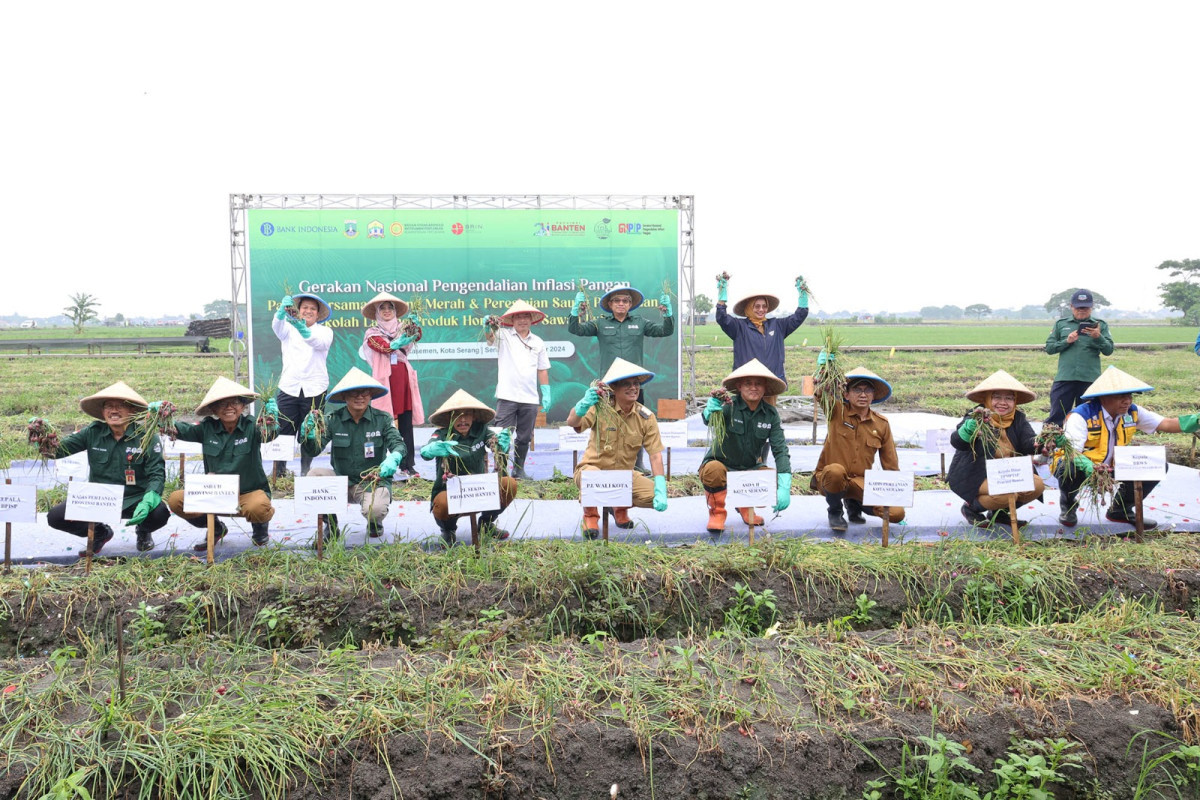 Pj Sekda Usman Asshiddiqi Qohara: Pemprov Banten Dorong Pengembangan Produksi Bawang Merah