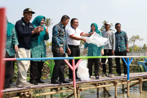 Pj Gubernur Banten Al Muktabar Bersama Wali Kota Serang dan Ketua TP PKK Provinsi Banten Tine Al Muktabar Tebar 1000 Benih Ikan Nila