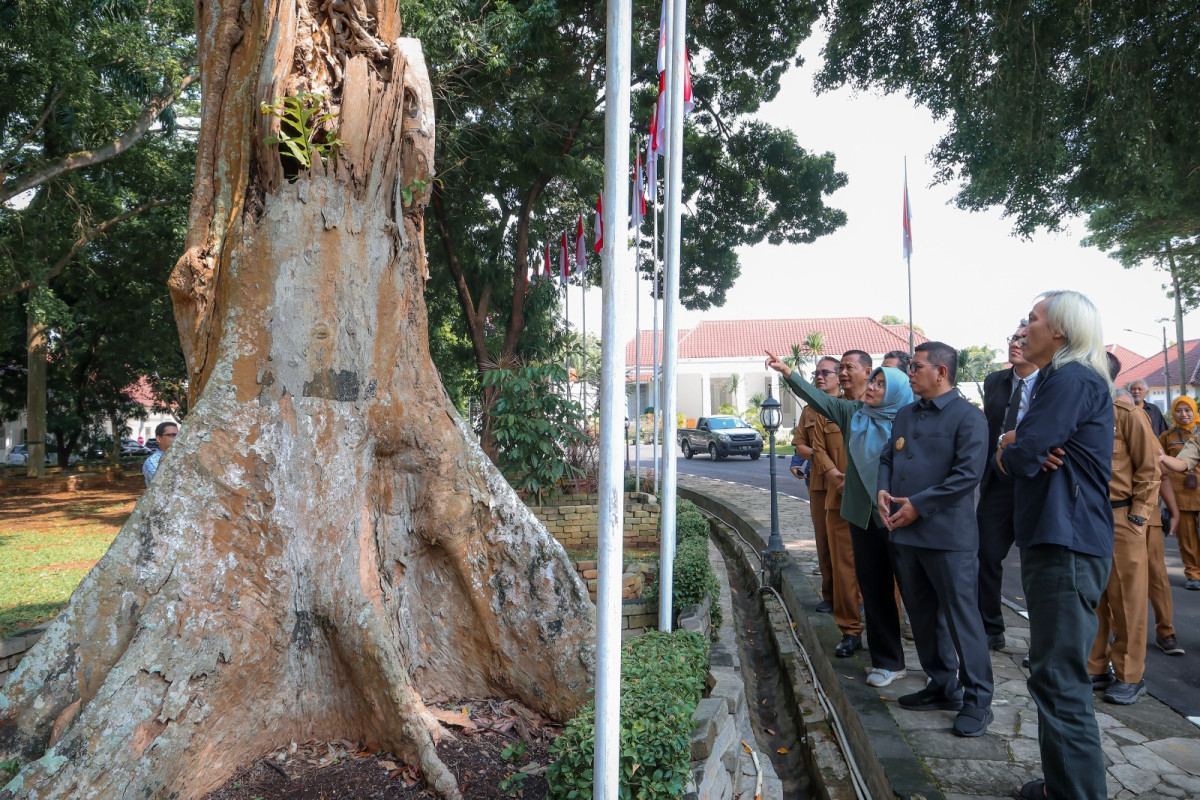 Gubernur Banten Andra Soni Diskusikan Pemeriksaan Pohon dan Konservasi Pohon Bersama Tim IPB